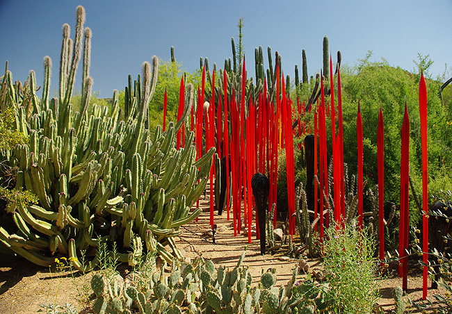 Markus Ansara Desert Botanical Garden