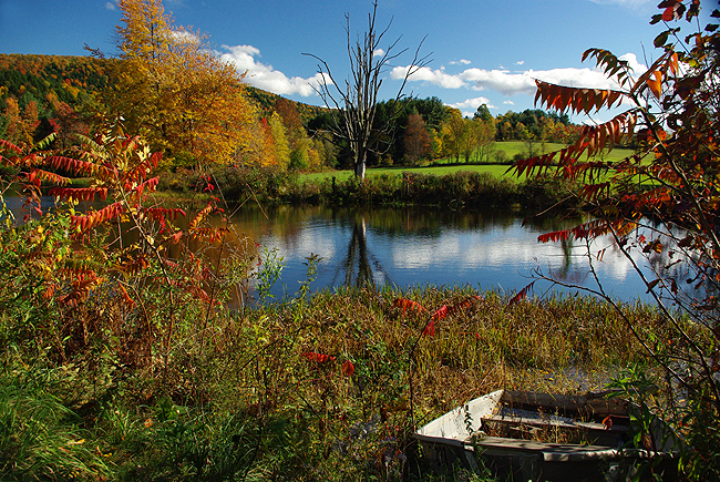 Beautiful Fall Scenes